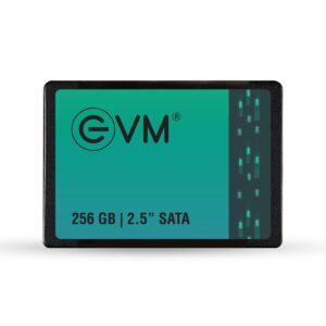EVM 256GB 2.5-Inch SATA Internal SSD - 550MB/s Read & 500MB/s Write - 5-Year Warranty (EVM25/256GB)